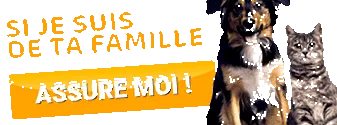 avis