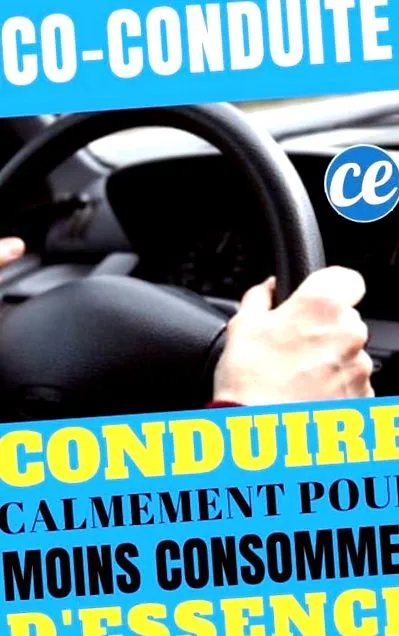 conduceți