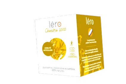 laborator mobilitate