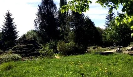cinci copii