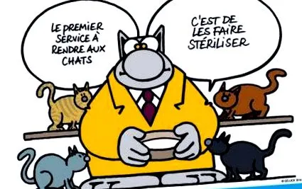 clairière