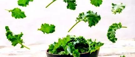 salată cretată