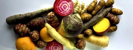 rădăcină