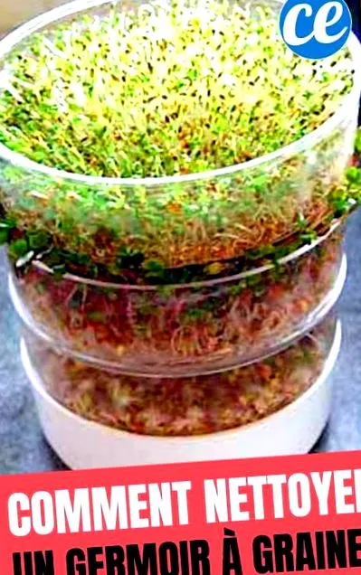 bicarbonat spruter