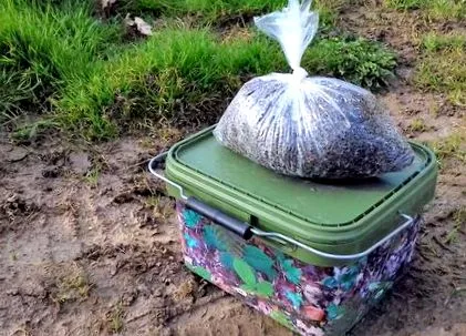 насіння