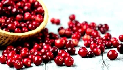 toutelanutrition