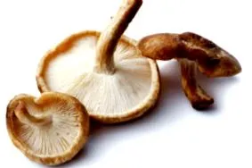 garnélarák