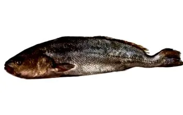 rețete definiție