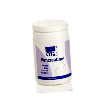 pancreatin