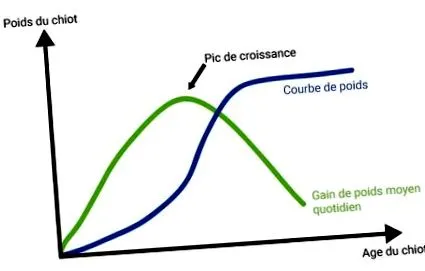 particularitățile