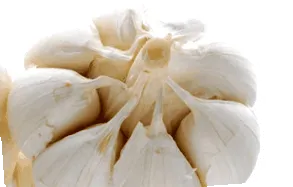 часник