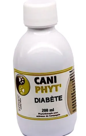 bază