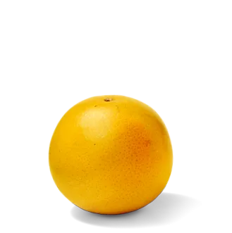 Dole Europe GmbH