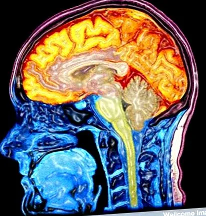 dátuma 2012