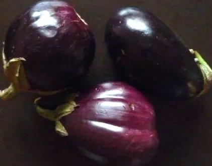 caviaruri