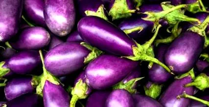 szezon