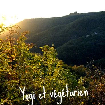 înseamnă