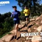 torrent
