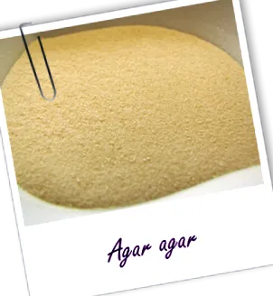 agar-íny