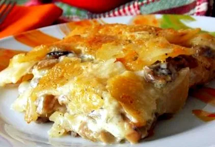 gratin gombával