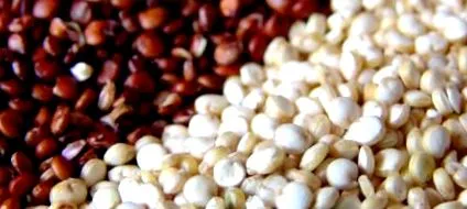 celiacă