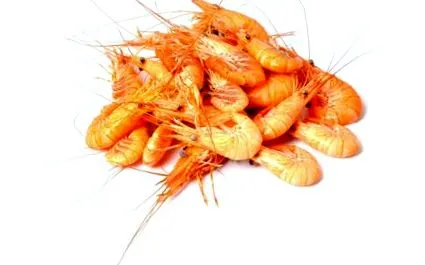 fructe