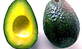 avocado