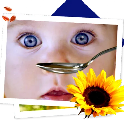 lesieur