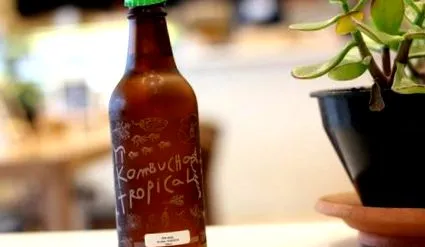 kombucha