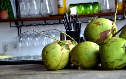 sfânt cocos