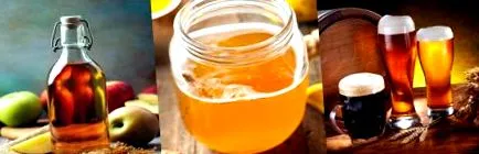 kombucha