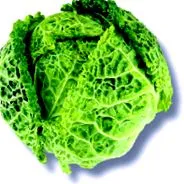 fructe