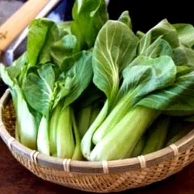 choy