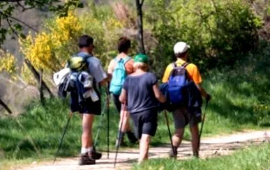 walking