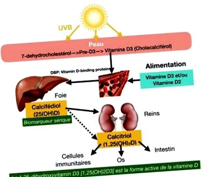 vitamina