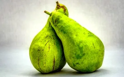 körte