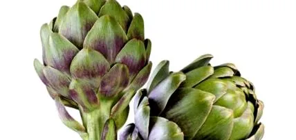artichoke