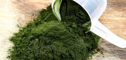spirulina