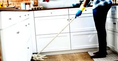 домашните
