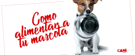 добра