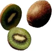 kiwi