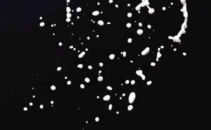 spermium
