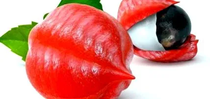guarana
