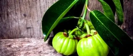 pentru cambogia