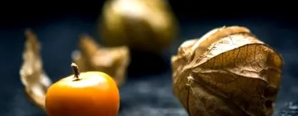 physalis