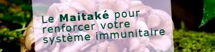objectif