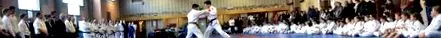 judo