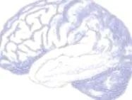 anestezia