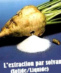 extrakció szilárd