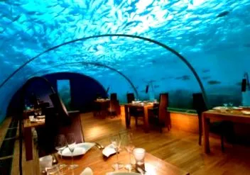 restaurante întreaga